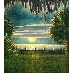 Vtg Litho Postcard 1940s Linen Andrews Bay Panama City FL Asheville PC Co NC SEE